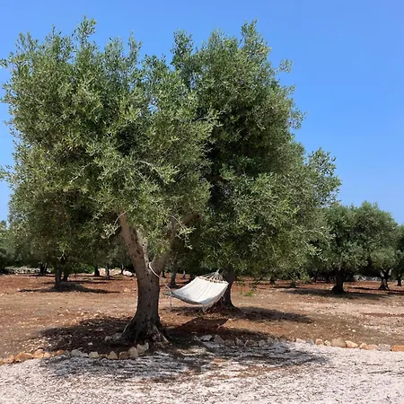 Casale Di Ameli - *